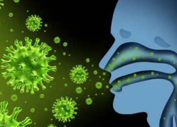 Befunky collage 2025 05 25t102425.556