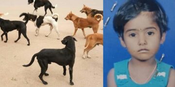 Befunky collage 2025 05 25t141810.004