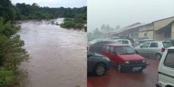 Befunky collage 2025 05 26t073506.566