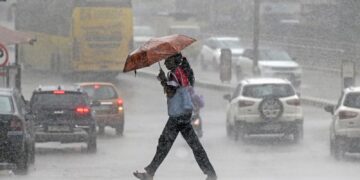 Befunky collage 2025 05 26t080848.517