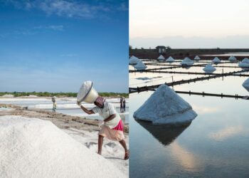 Befunky collage 2025 05 27t112528.759