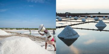 Befunky collage 2025 05 27t112528.759