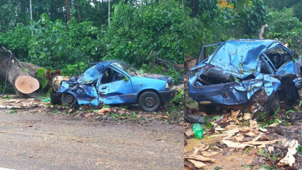 Befunky collage 2025 05 27t120152.574