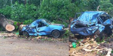 Befunky collage 2025 05 27t120152.574