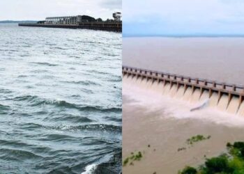 Befunky collage 2025 05 29t103258.133