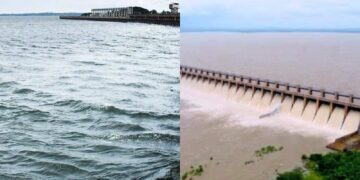 Befunky collage 2025 05 29t103258.133