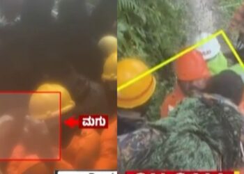 Befunky collage 2025 05 30t144803.542