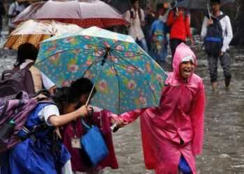 Befunky collage 2025 05 31t081255.620