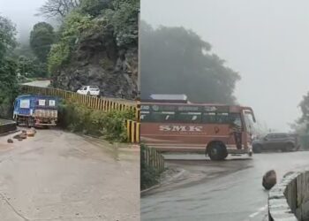 Befunky collage 2025 05 31t105623.375