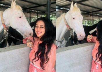 Befunky collage (35)