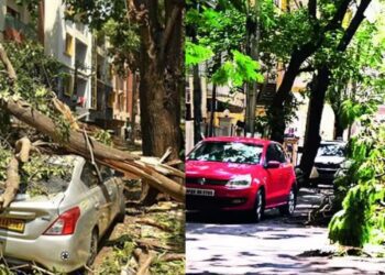 Befunky collage (36)