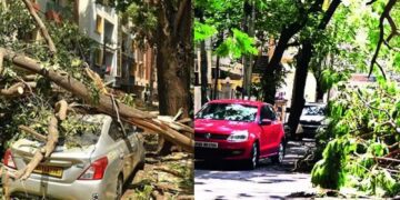 Befunky collage (36)