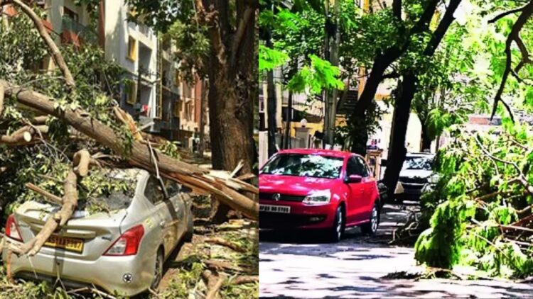 Befunky collage (36)