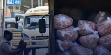 Befunky collage (46)