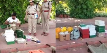 Befunky collage (70)