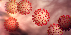Coronavirus panorama 360955692d38b15a32de9610d01a1a10 ifmulep01ros (1)