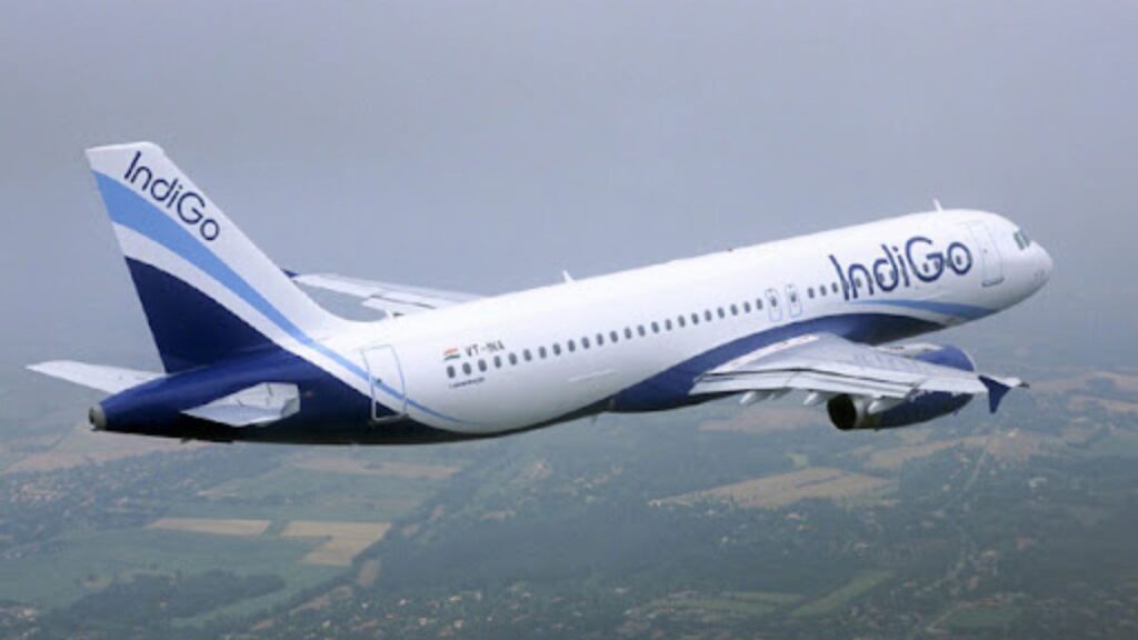 Untitled design 2025 05 09t205228.174