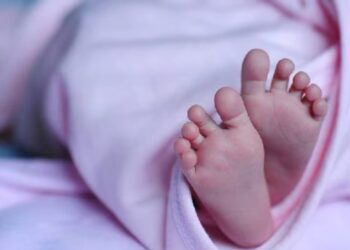 Untitled design 2025 05 12t082151.145