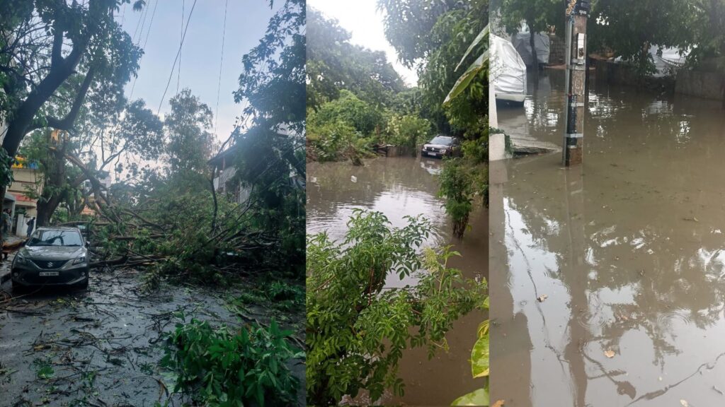 Untitled design 2025 05 14t081509.028