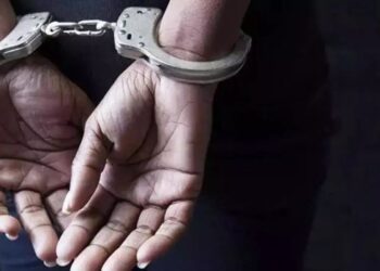 Untitled design 2025 05 17t165635.206