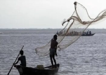 Untitled design 2025 05 20t223119.701