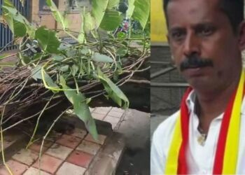 Untitled design 2025 05 21t193730.001