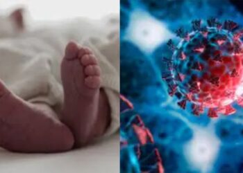 Untitled design 2025 05 23t184046.272