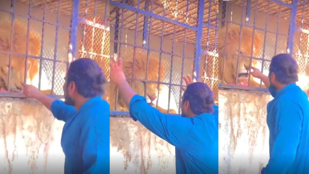 Untitled design 2025 05 24t153605.841