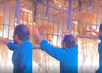 Untitled design 2025 05 24t153605.841