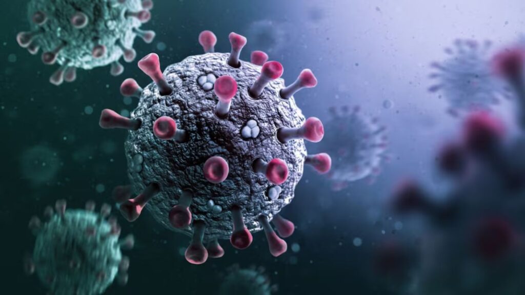 Untitled design 2025 05 24t211702.023