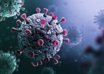 Untitled design 2025 05 24t211702.023