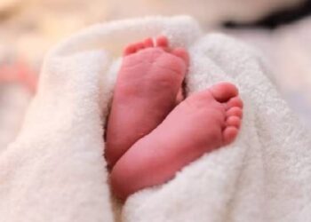 Untitled design 2025 05 29t144000.253