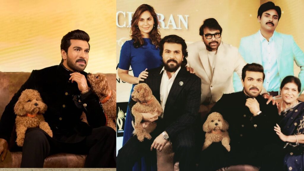 Untitled design (31)