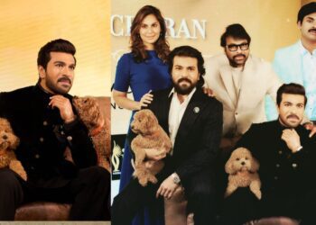 Untitled design (31)