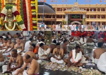 Untitled design (43)