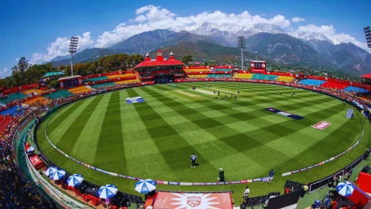 Untitled design (51)