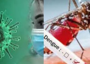 Untitled design (70)