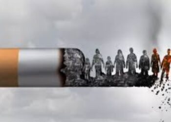 Untitled design (77)