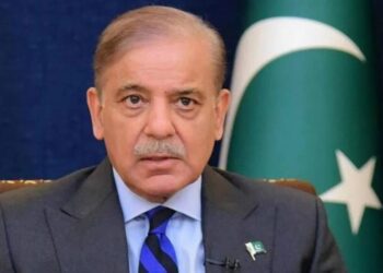 Untitled design (98)