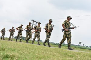 Bsf ssb