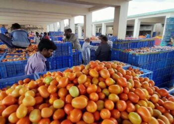 Film 2025 05 01t145919.868