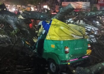 Film 2025 05 01t204127.182