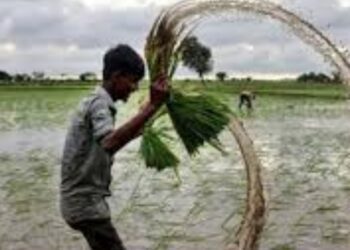 Web 2025 05 11t070856.900