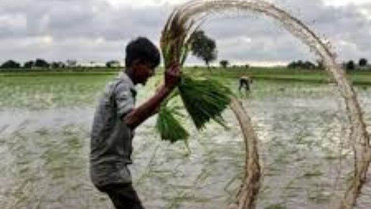 Web 2025 05 11t070856.900