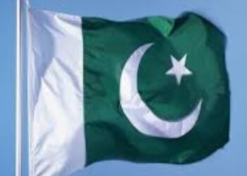 Web 2025 05 11t081345.650