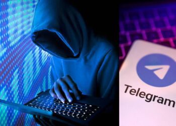 Web 2025 05 11t123601.768