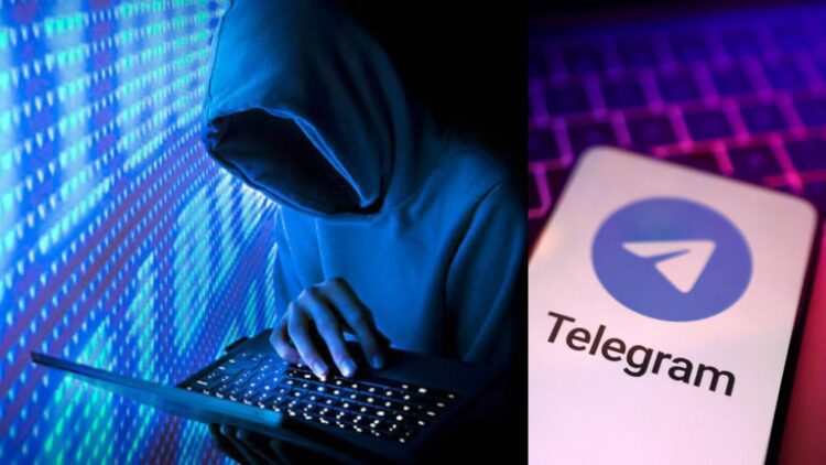 Web 2025 05 11t123601.768