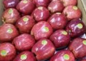 Web 2025 05 13t194810.482