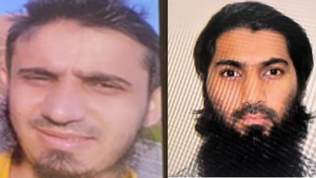 Web 2025 05 17t120033.787