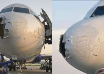 Web 2025 05 22t113433.942